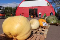 Giant Pumpkin Weigh Off 2021