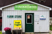 Traynor Farms