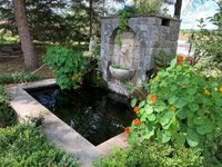 Maintaining your Pond