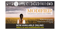 modified-movie