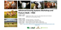 grazing-workshop-walk