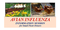 avian-influenza-info-session