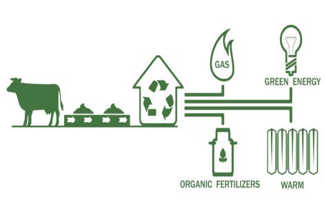 Infographic of a cow producing manure, the manure going to a biodigester, the biodigester then outputting gas, organic fertilizers, green energy, and warm