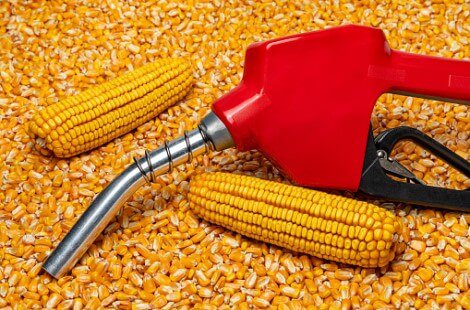 Red gas nozzle sitting in corn kernels, with two full ears of corn on either side of the nozzle