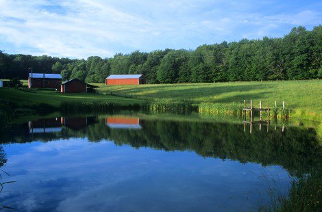 Red farm buildings surrounded by green grass, trees and a pond. The buildings are reflected in the pond water. The pond has a dock.
