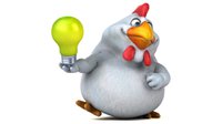 chicken-holding-lightbulb