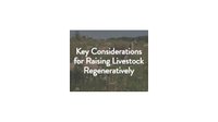 key-considerations-for-raising-livestock-regeneratively