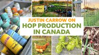 Justin Carrow on Hop Production in Canada