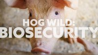 Hog Biosecurity