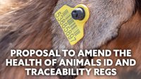 Health of Animals Id and Traceability Regs