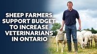 Sheep Farmers Support Budget Increase