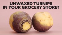 Unwaxed Turnips