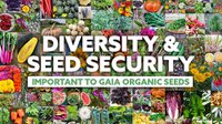 Diversity and Seed Security