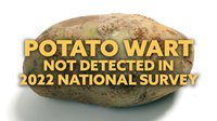 Potato Wart Survey 2022