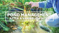 Pond Management