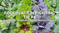 Foodflation Fighting - Perennial Crops