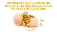 Dr. Mike Petrick Advises on Incubating