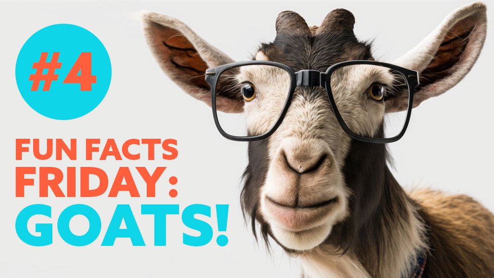 Facts About Goats