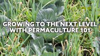 Permaculture 101