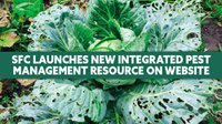 SFC launches Integrated Pest Management Resource