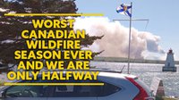 Canadian Wildfire Season 2023