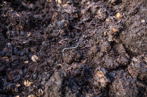 Up close image of compost soil