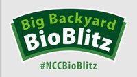 Big Backyard BioBlitz