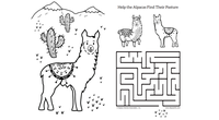 Alpaca Colouring Page and Maze