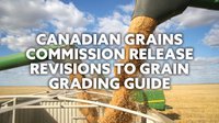 Canadian Grain Grading Guide 2023-24