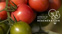 Stories Of Regeneration: Event At Just Food Community Farm