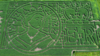 Queen Elizabeth ll Corn Maze