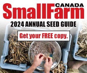 SFC Seed Guide 2024