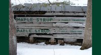Maple Syrup Farm