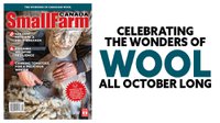 October is Wool Month!