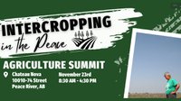 Intercropping in the Peace – Agriculture Summit