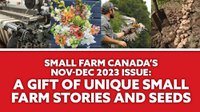 SFCs Nov-Dec 2023 issue