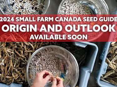 2024 Seed Guide Coming Soon!