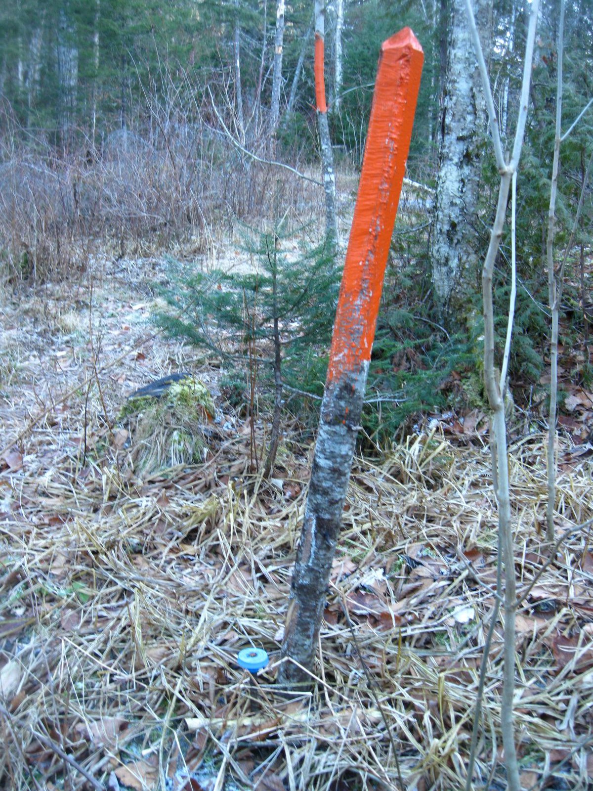 Surveying boundary lines: This be yours and this be mine but where oh where  betwixt is the line? - Small Farm Canada