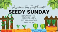 Seedy Sunday - Brandon