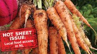 Local food access in Newfoundland and Labrador