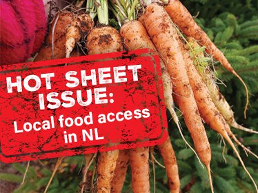 Local food access in Newfoundland and Labrador