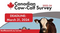 OW-CALF PRODUCERS, YOUR PERSPECTIVE OUGHT TO BE HEARD