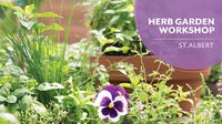 Herb Garden | Salisbury Greenhouse