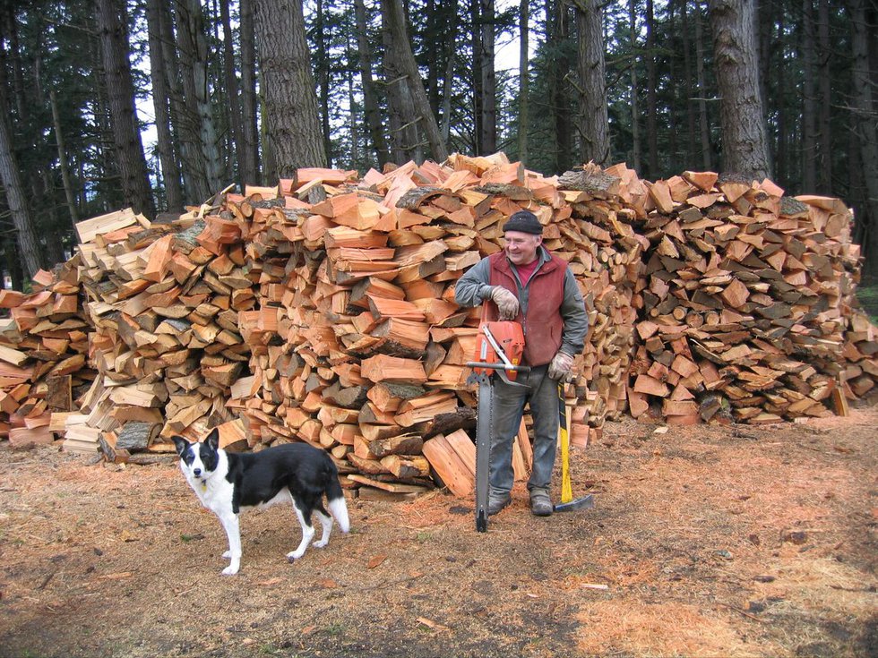 Wayne firewood.jpg