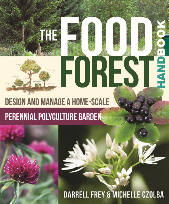 food forest.jpg