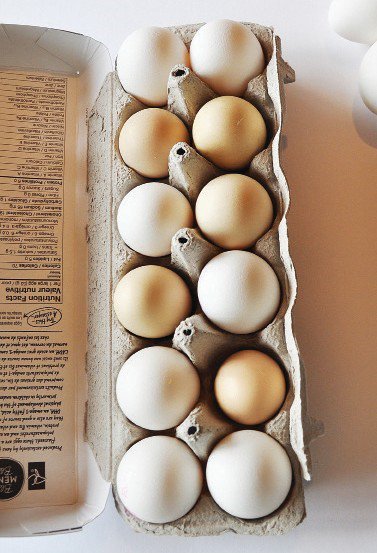 Eggcetera: It’s all about the eggs - Small Farm Canada