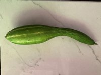 Deformed Cucumber